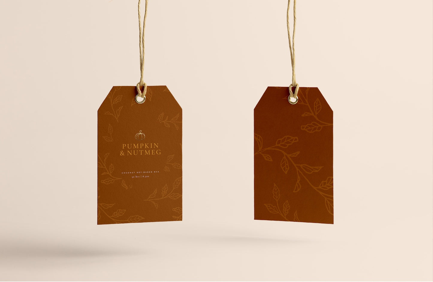 Autumn Illustrations