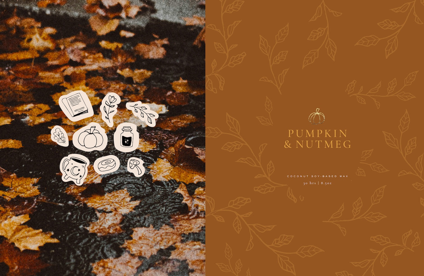 Autumn Illustrations