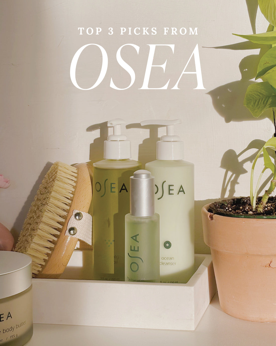 Top 3 product picks from Osea