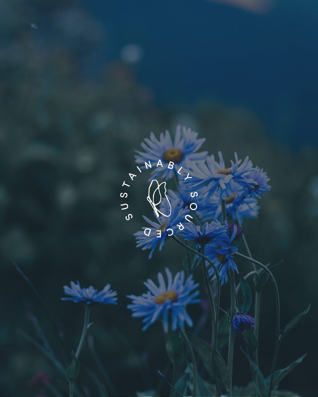 Grey Ritual Design Studio – Grey Ritual Shop